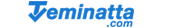 Teminatta Logo